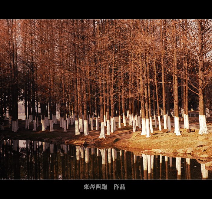 [ԭ]ů~