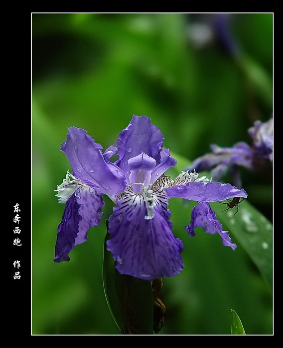 [ԭ]ˣF717