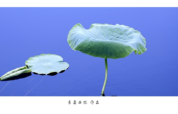 [ԭ]Ҳѧġ