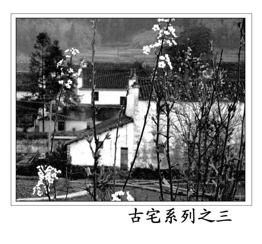 լ֮3