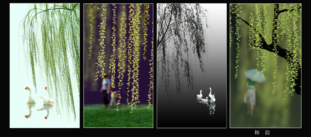[]ɽӰɳʮߵӰչƷ