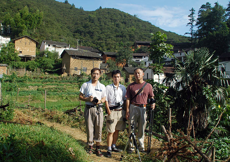2006ʯvɷ绨