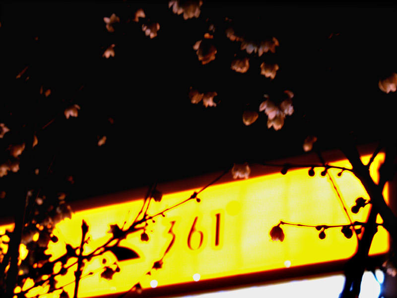 361ǰ÷.С