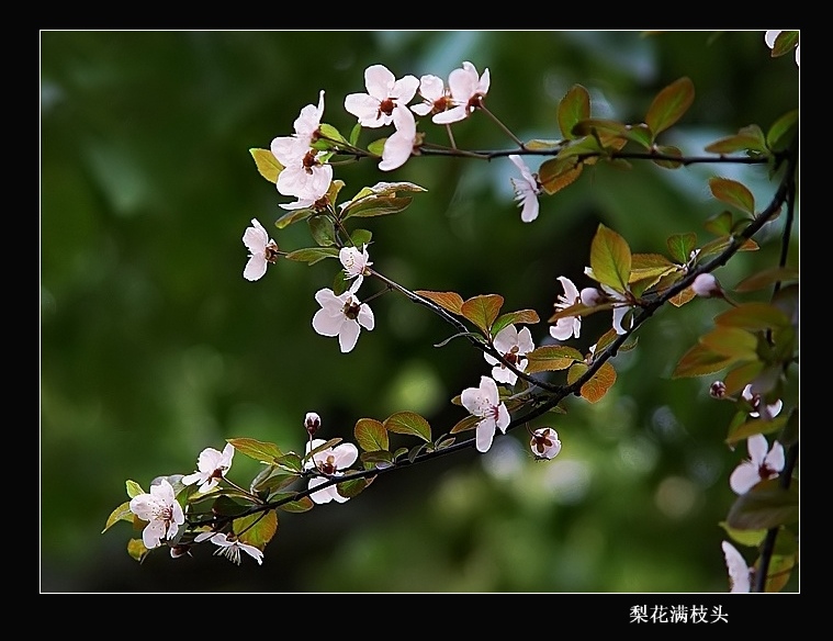 [ԭ]滨֦ͷ