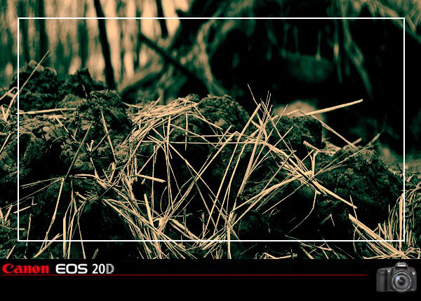 50ͷµСׯ