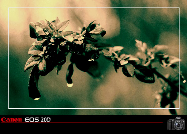 50ͷµСׯ