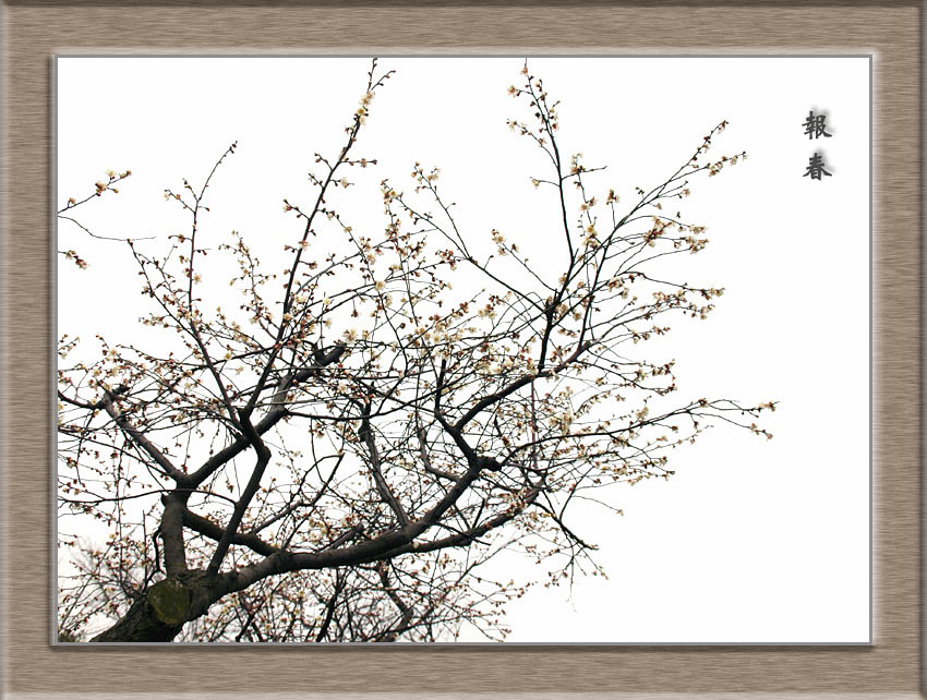 [ԭ]˭Ը/ȥˮ÷