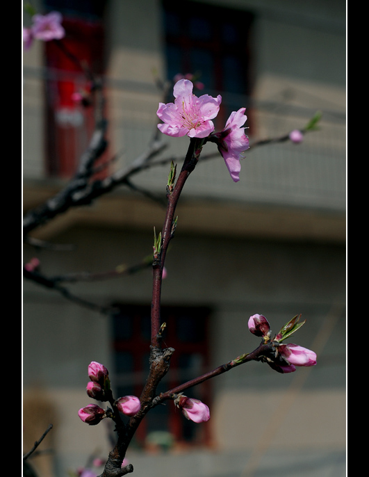 [ԭ]һ俪