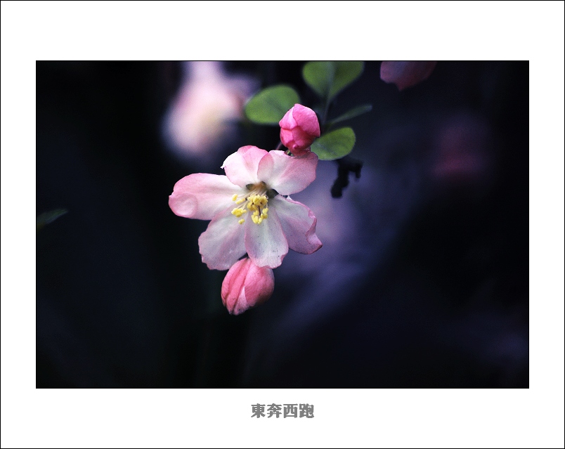 [ԭ]ɽ԰һ