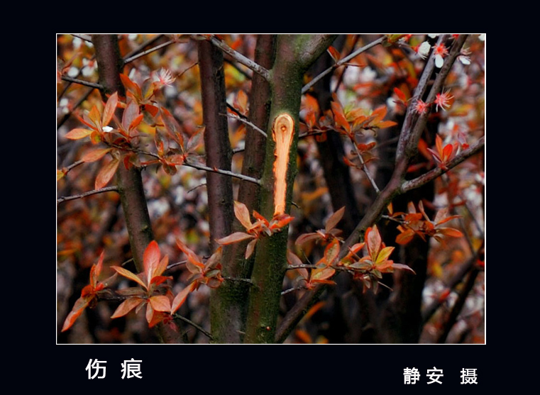 [ԭ]µ˺
