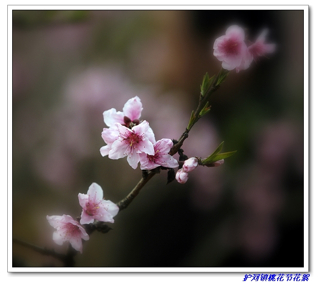 [ԭ]ӡһ