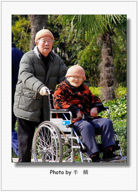 鲻