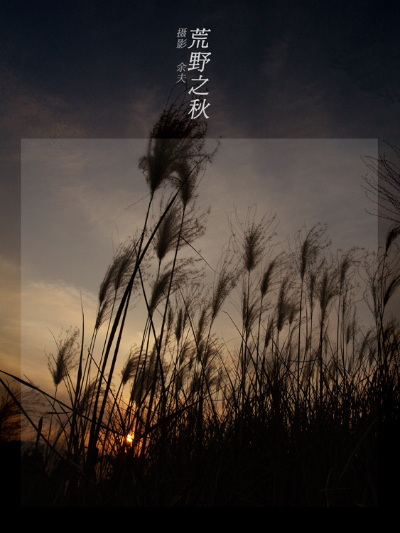 ϴҰ֮-------ϵƬ5P