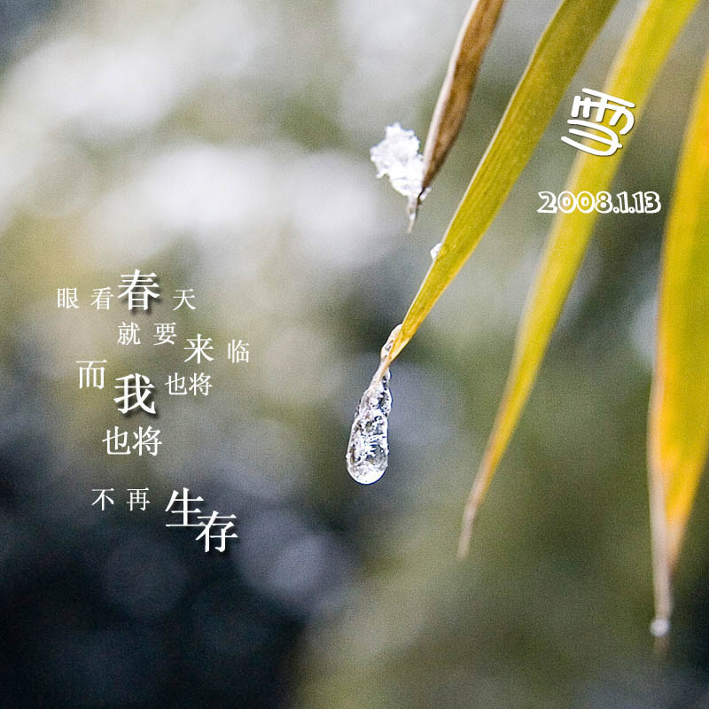 [ԭ]ѩ