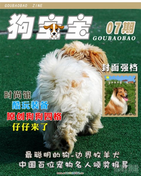 鹷Ƭ