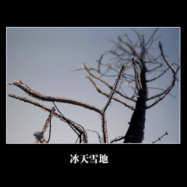 [ԭ]ѩ