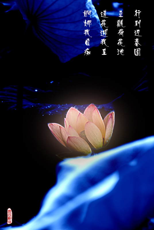 ɫλãpsĺɻ