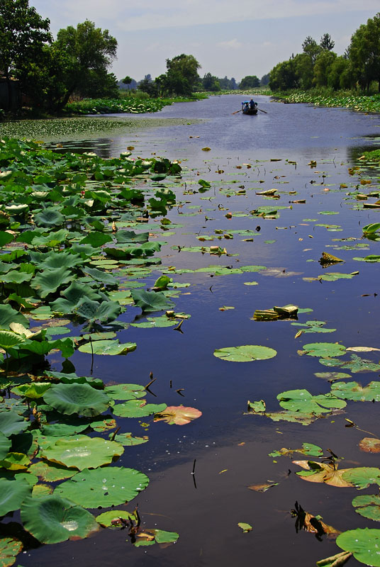 重游香湖岛