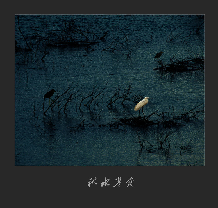 ˮݡ-----ոմʣ