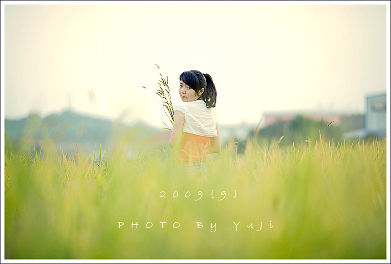 LP5D135L