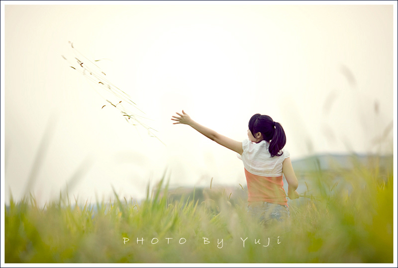 LP5D135L