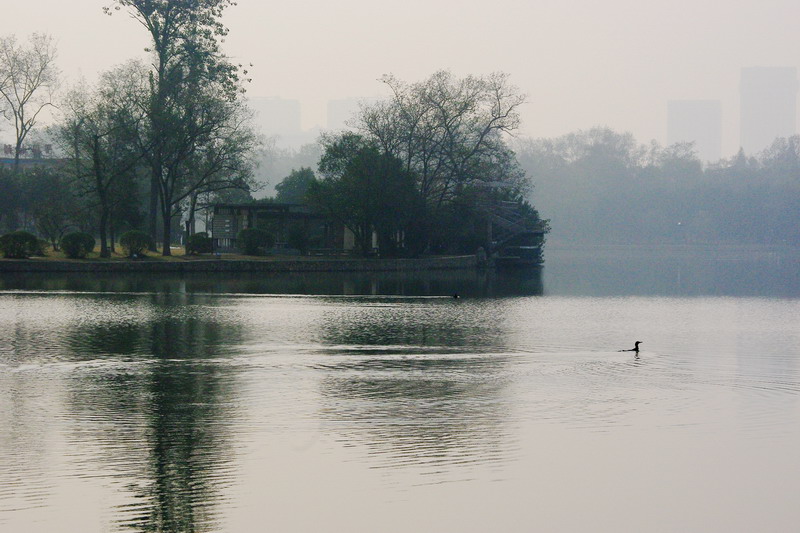 IMGP2974x.jpg