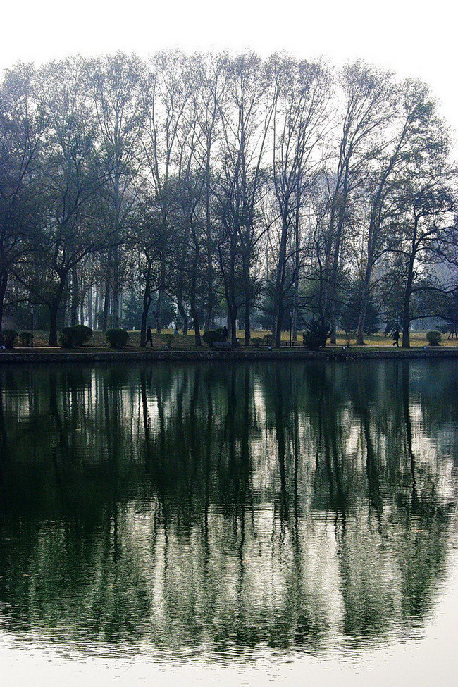 IMGP2975xa.jpg