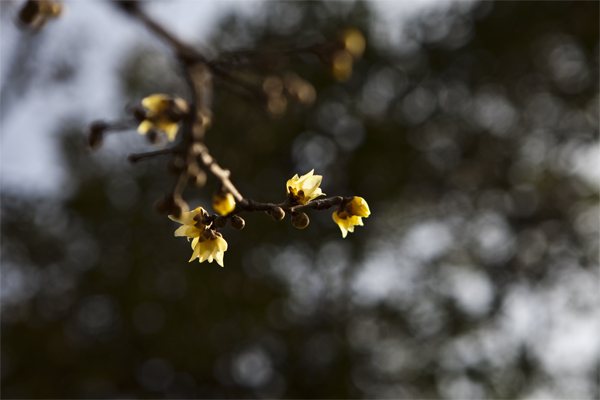 IMG_1011Ϊܶ-1.jpg
