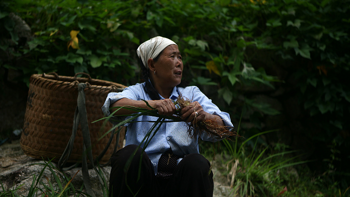 Ƭ 079.jpg
