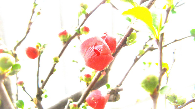 2010ϲƬ_0087.jpg