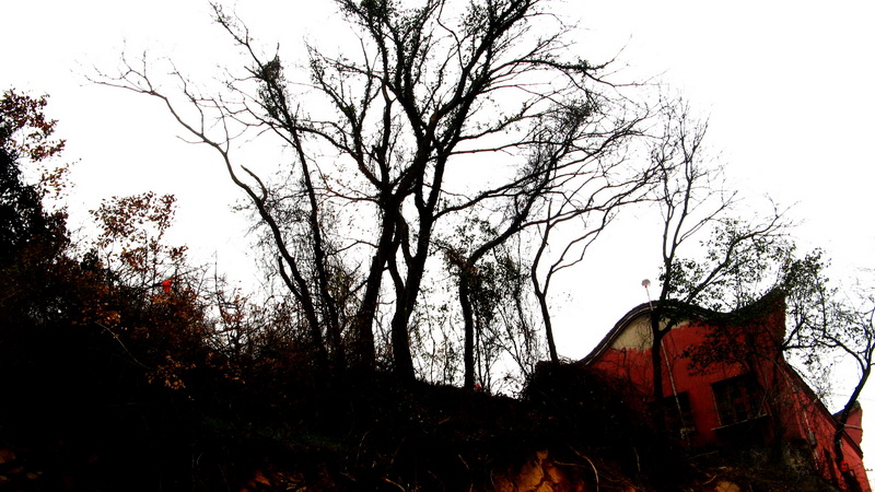 2010_0237.jpg