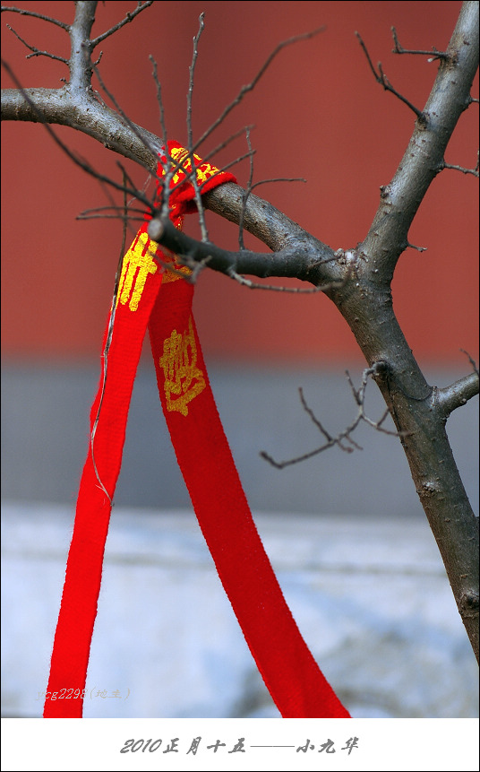 IMGP9715.jpg