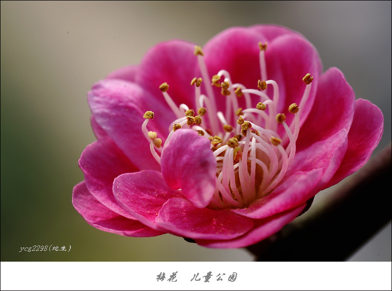 IMGP9845.jpg