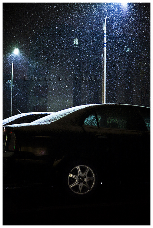 _MG_8320.jpg
