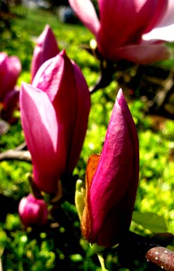IMG_0137.JPG