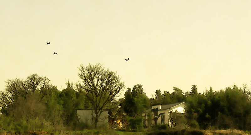 Ƭ-018000.jpg