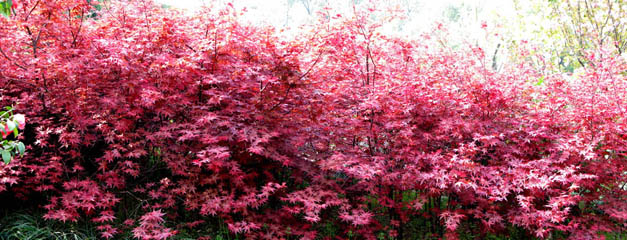 2010410.jpg