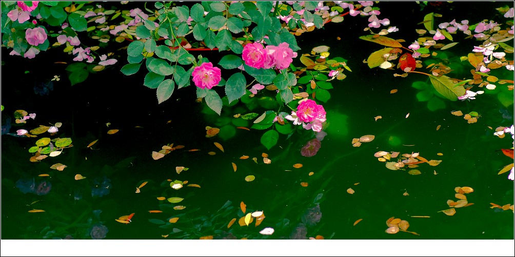 DSC_2711suo.jpg