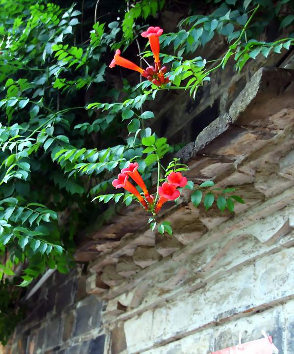 IMG_5717.JPG