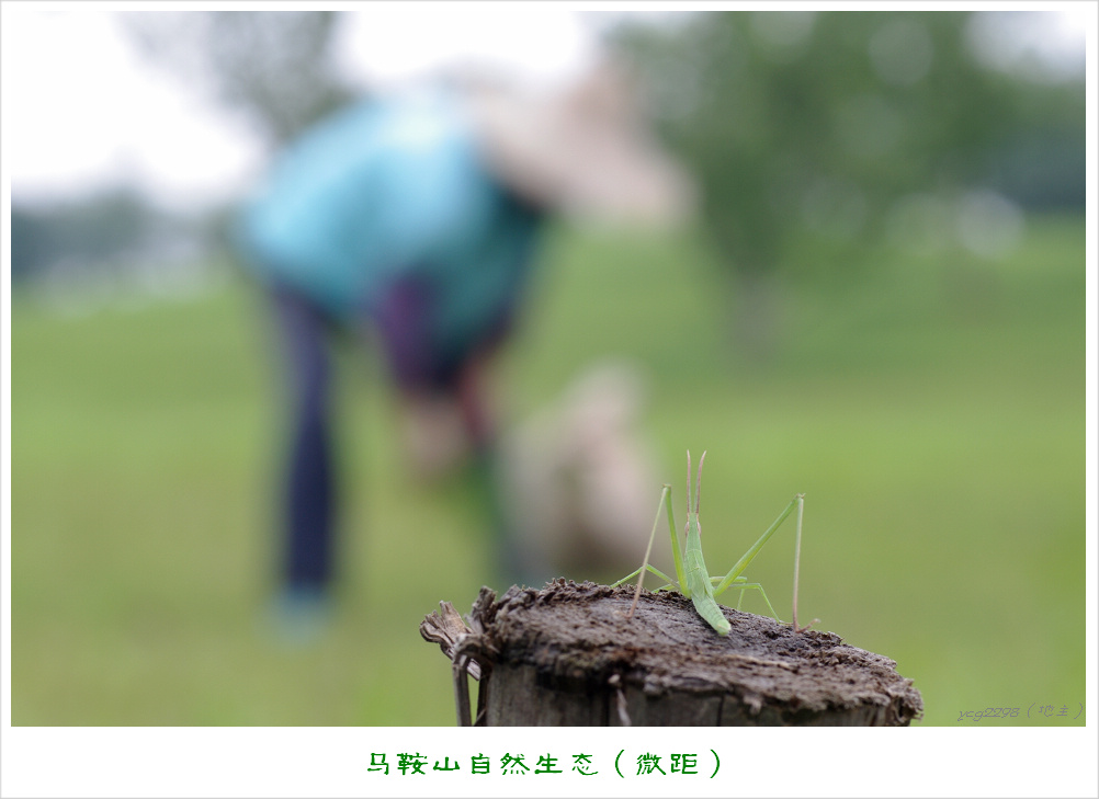 IMGP9436.jpg