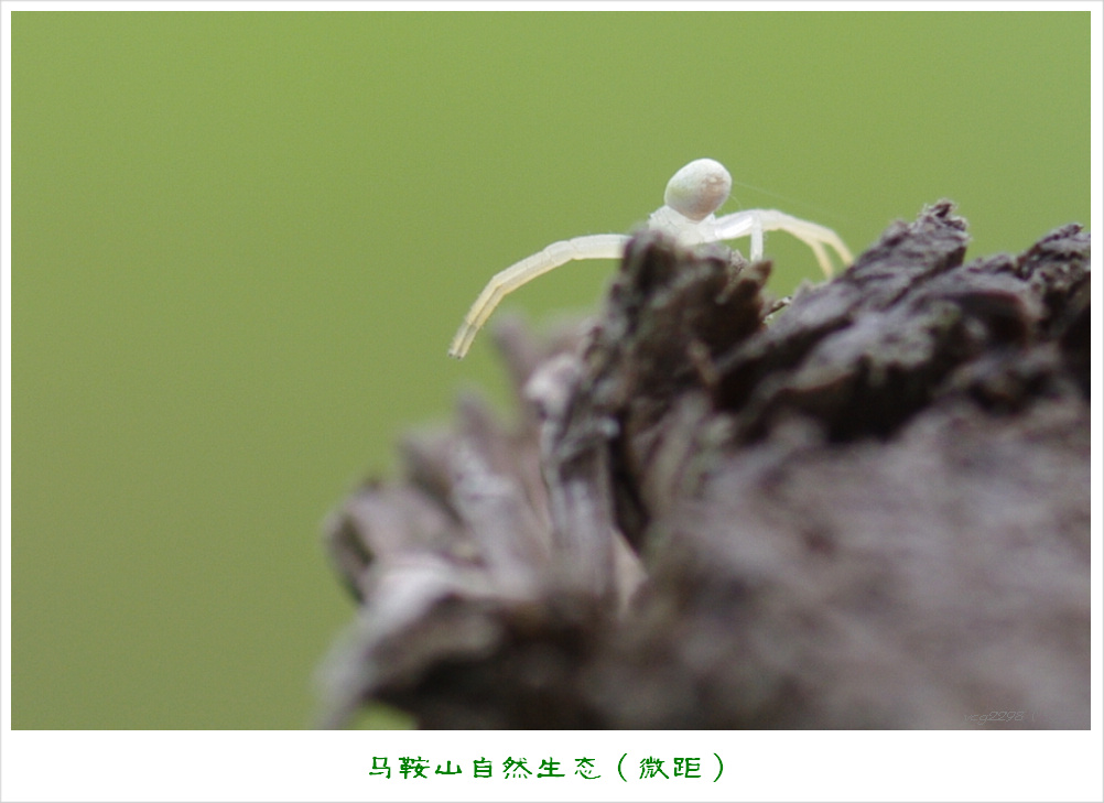 IMGP9402-1.jpg