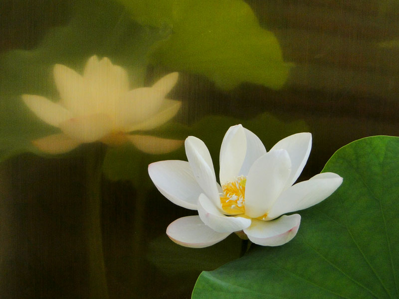 DSC03100.JPG