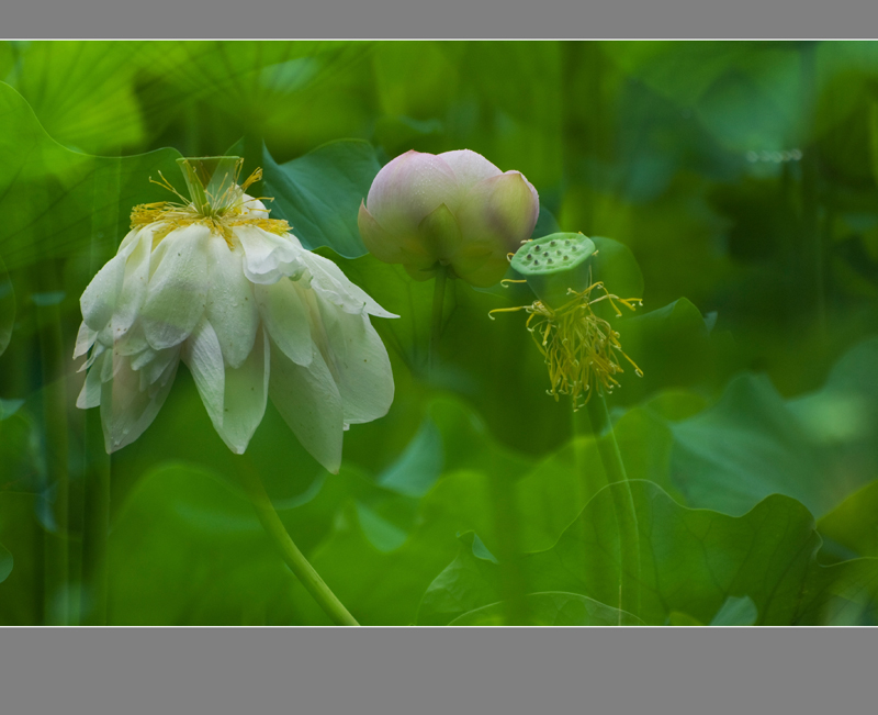 DSC_1438a.jpg