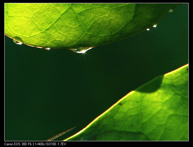 IMG_6214-1.jpg