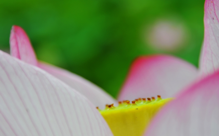 DSC_5907.jpg