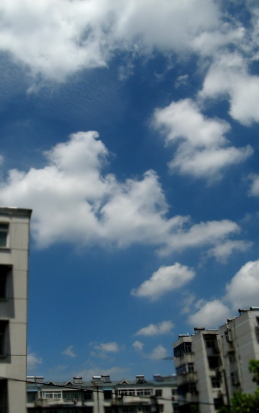 IMG_0737_ps.jpg