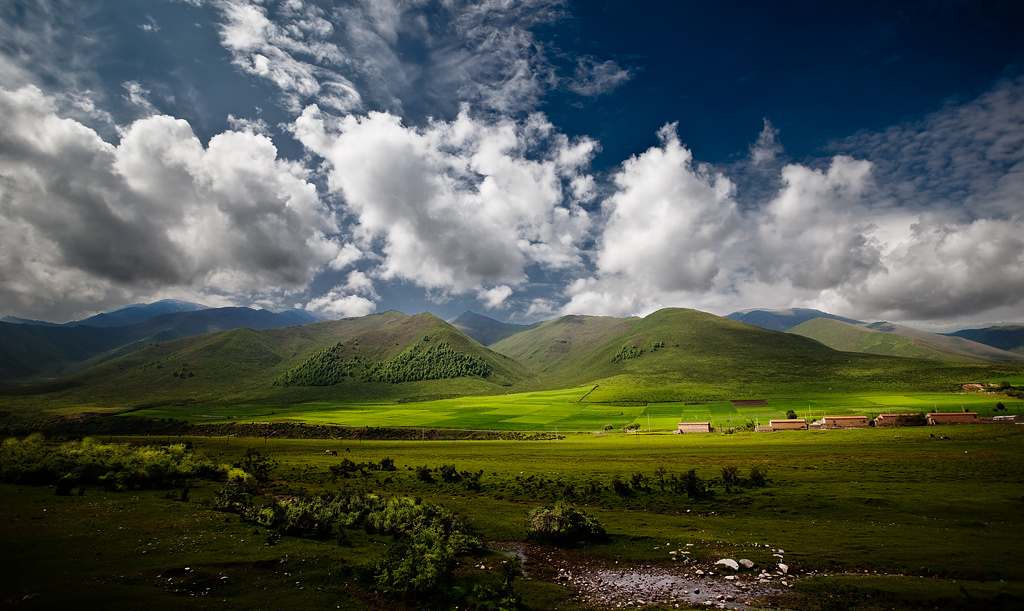 _MG_3174-0-ys.jpg