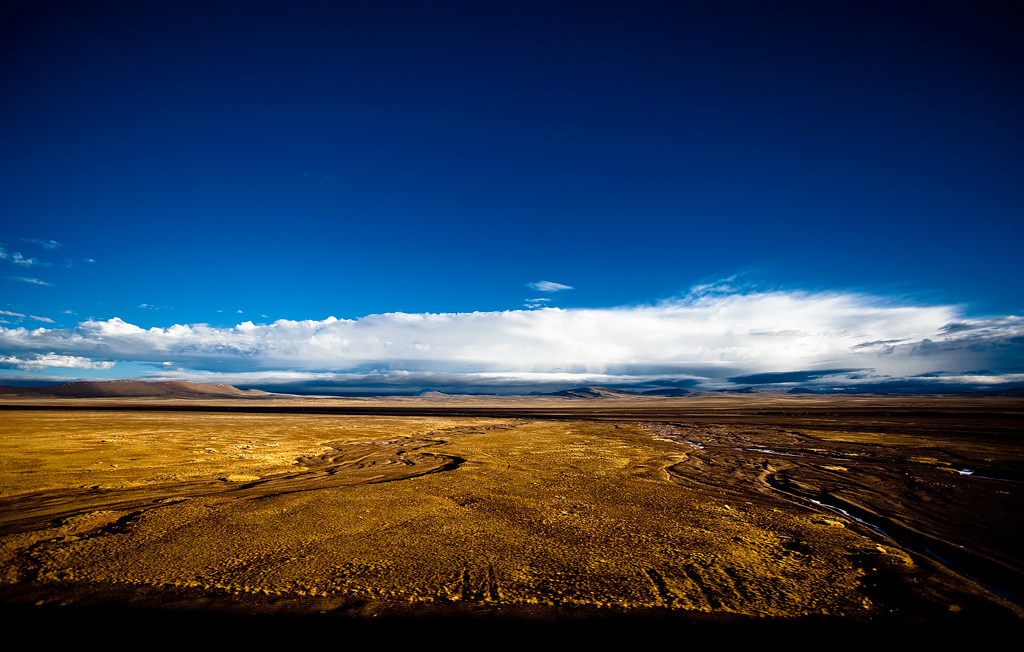 7_MG_3263-0-ys.jpg
