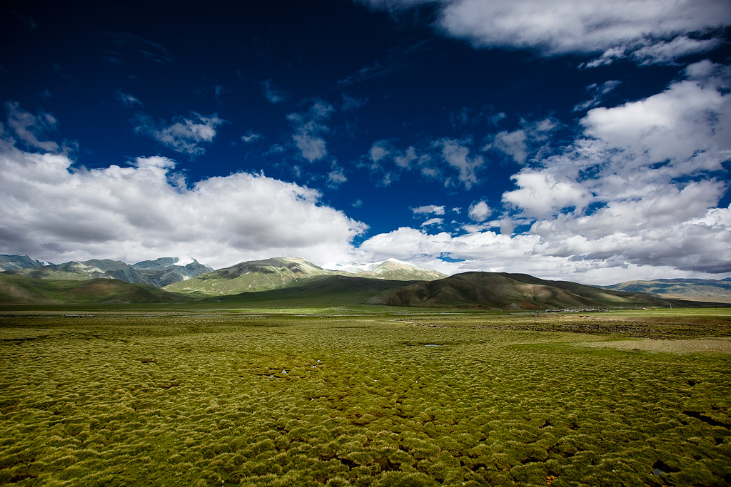 13_MG_3297-0-ys.jpg