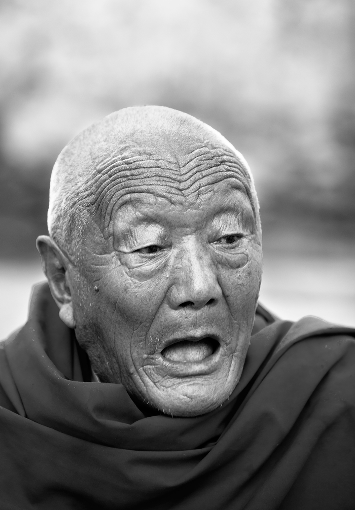 3_MG_5515-0-ys.jpg